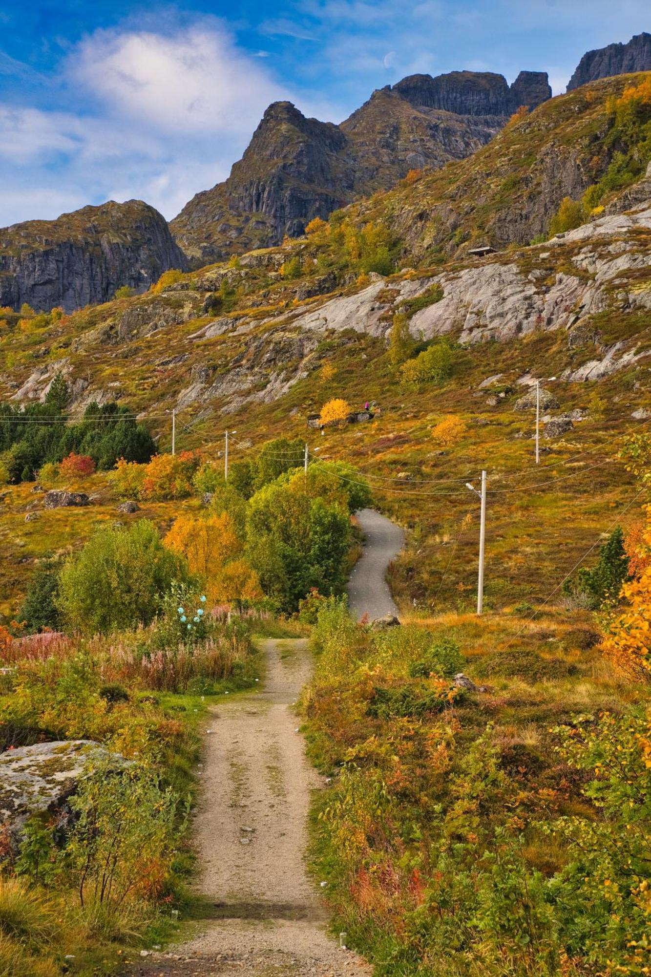 Lofoten Planet Studio เซอร์วอเกน ภายนอก รูปภาพ